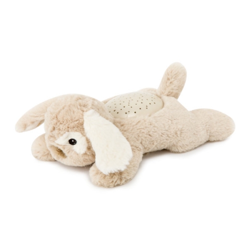 Copains de rêve Cloud B Patch le chiot