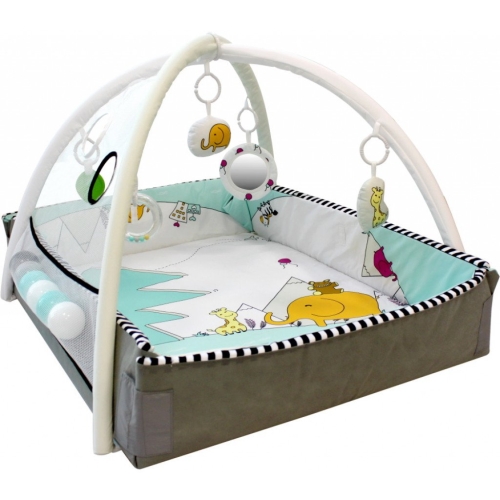 Tryco 5-en-1 Ball Play Activity Gym Lovely Park