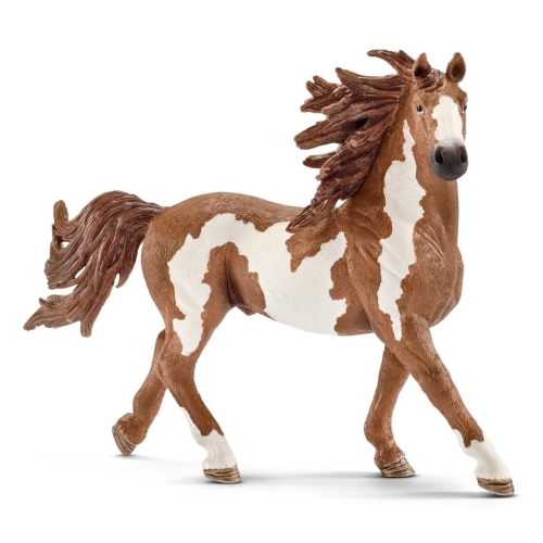 Schleich 13794 étalon Pinto