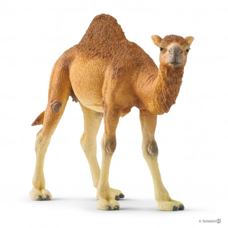 Schleich 14832 Dromadaire