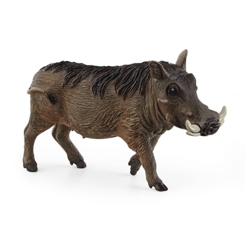 Schleich 14843 Phacochère