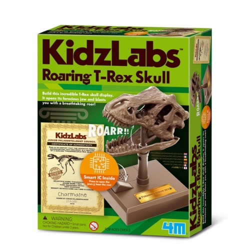 crâne de T-Rex rugissant 4M Kidzlabs